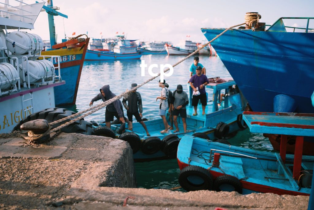 Tám Cuộn Phim - "Cân nhanh kẻo nắng lên, mẻ mực này tươi rói!"