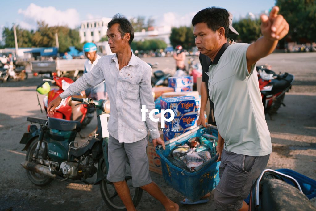 Tám Cuộn Phim - "Cân nhanh kẻo nắng lên, mẻ mực này tươi rói!"