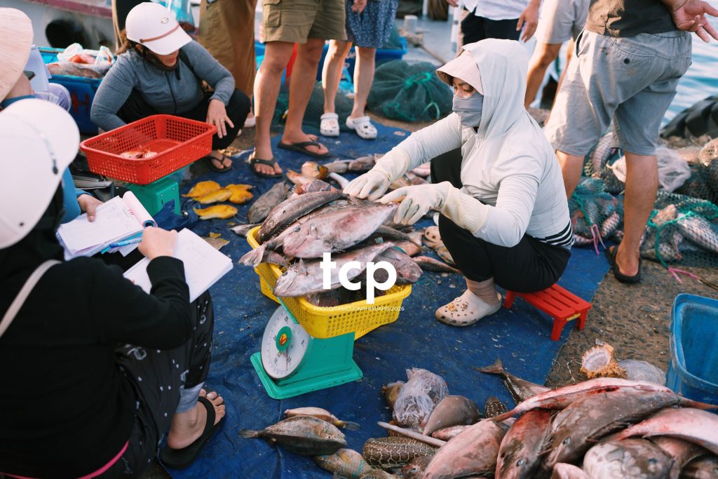Tám Cuộn Phim - "Cân nhanh kẻo nắng lên, mẻ mực này tươi rói!"
