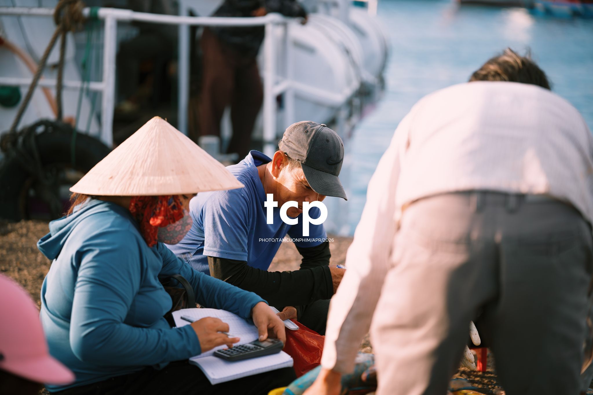 Tám Cuộn Phim - "Cân nhanh kẻo nắng lên, mẻ mực này tươi rói!"
