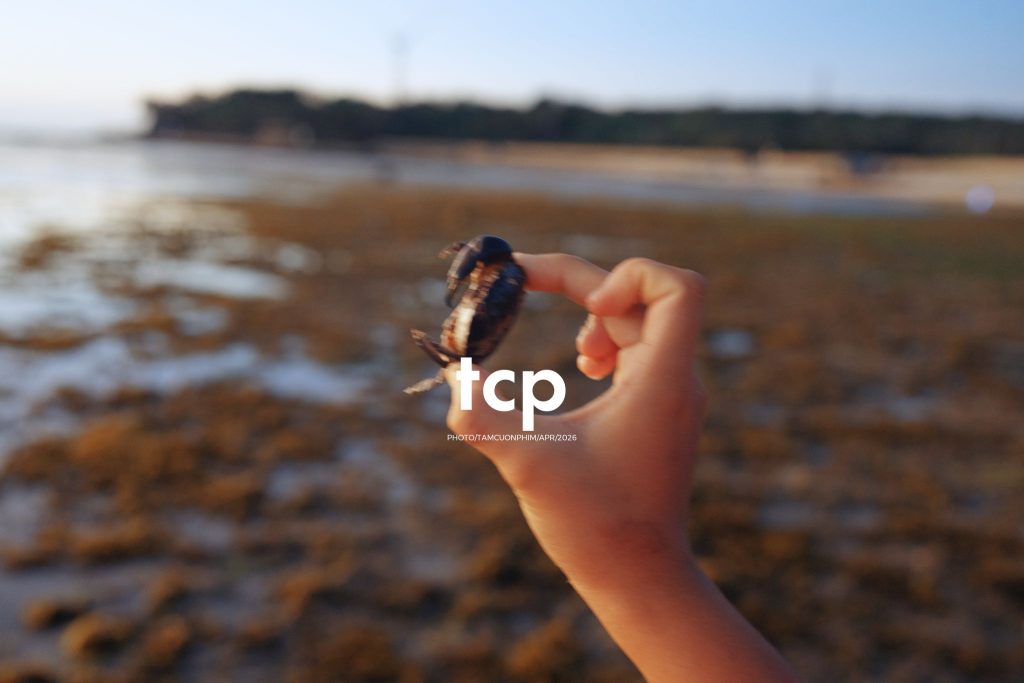 Tám Cuộn Phim - "Nhìn kìa, con này lạ quá!"