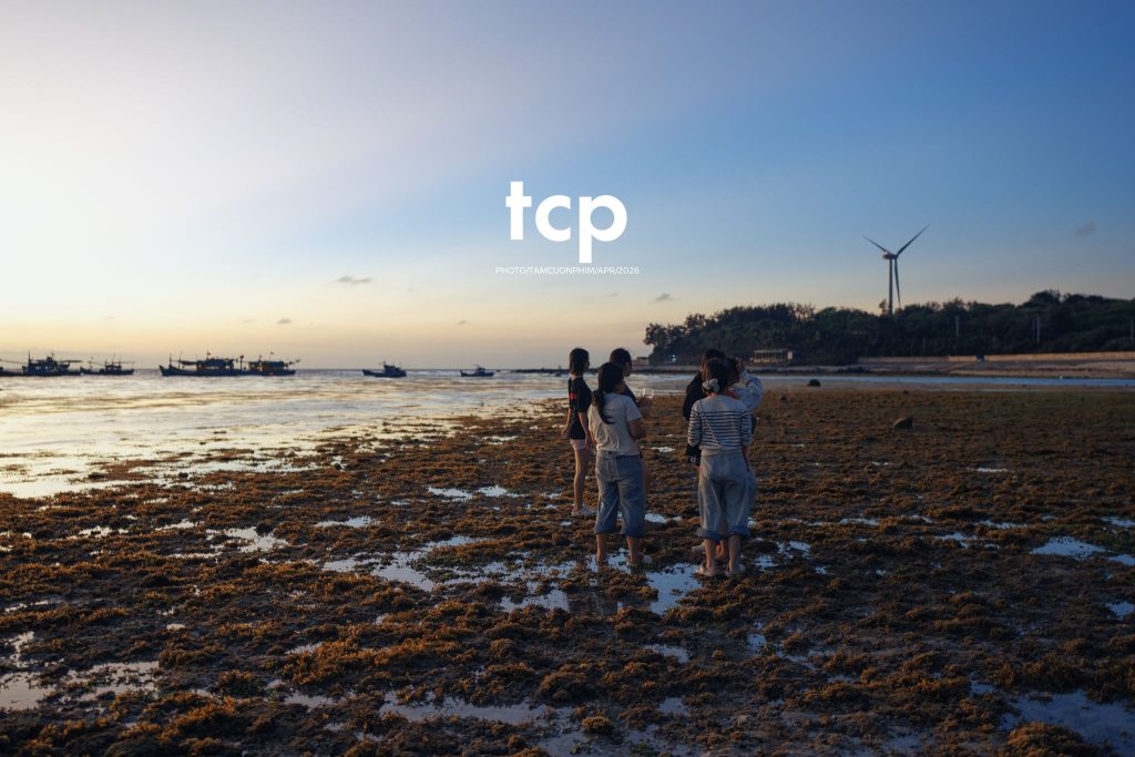 Tám Cuộn Phim - "Nhìn kìa, con này lạ quá!"