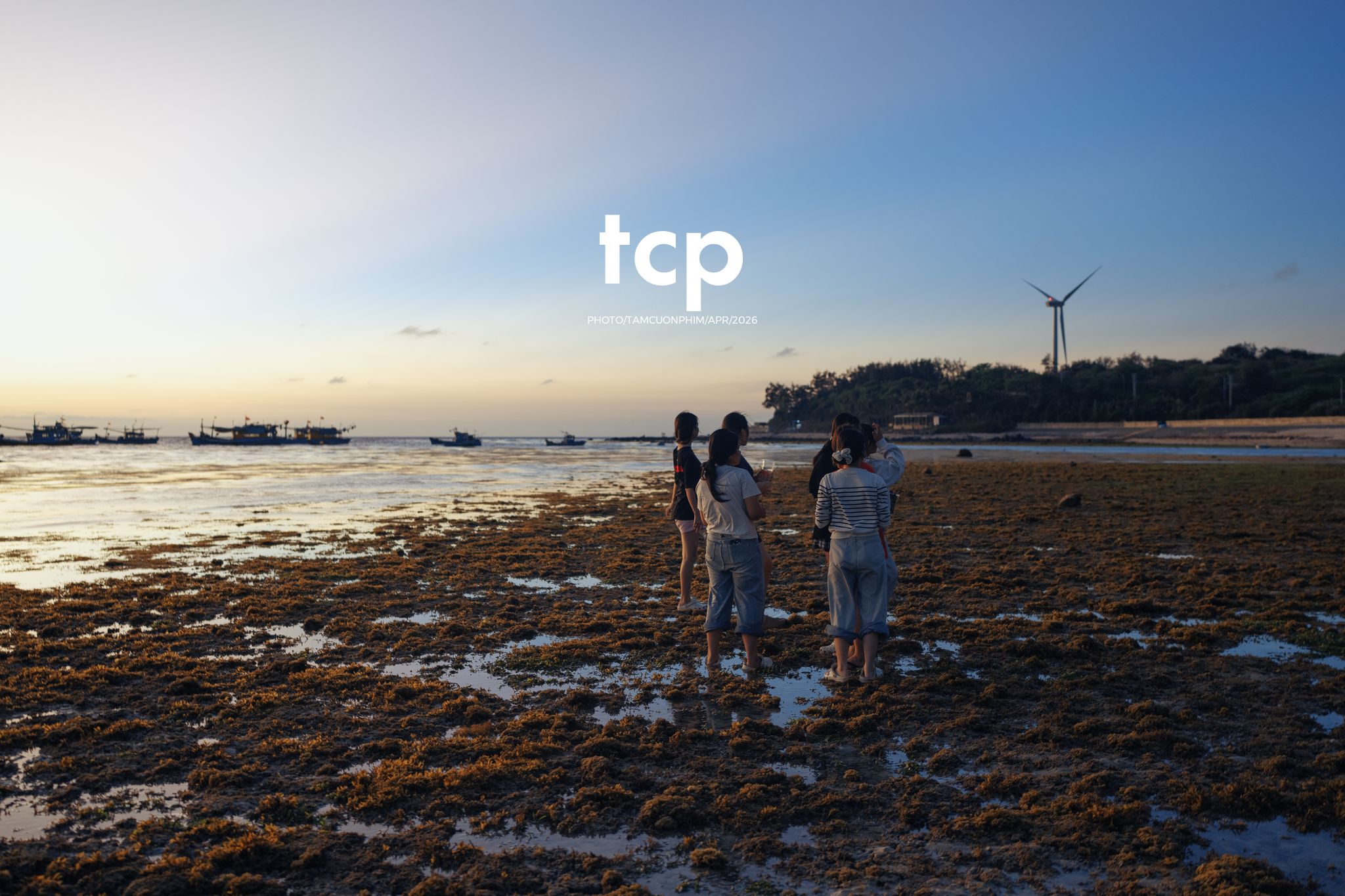 Tám Cuộn Phim - "Nhìn kìa, con này lạ quá!"