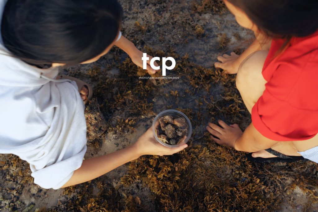 Tám Cuộn Phim - "Nhìn kìa, con này lạ quá!"