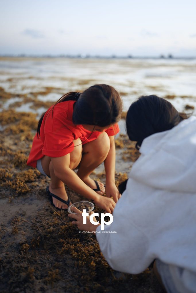 Tám Cuộn Phim - "Nhìn kìa, con này lạ quá!"