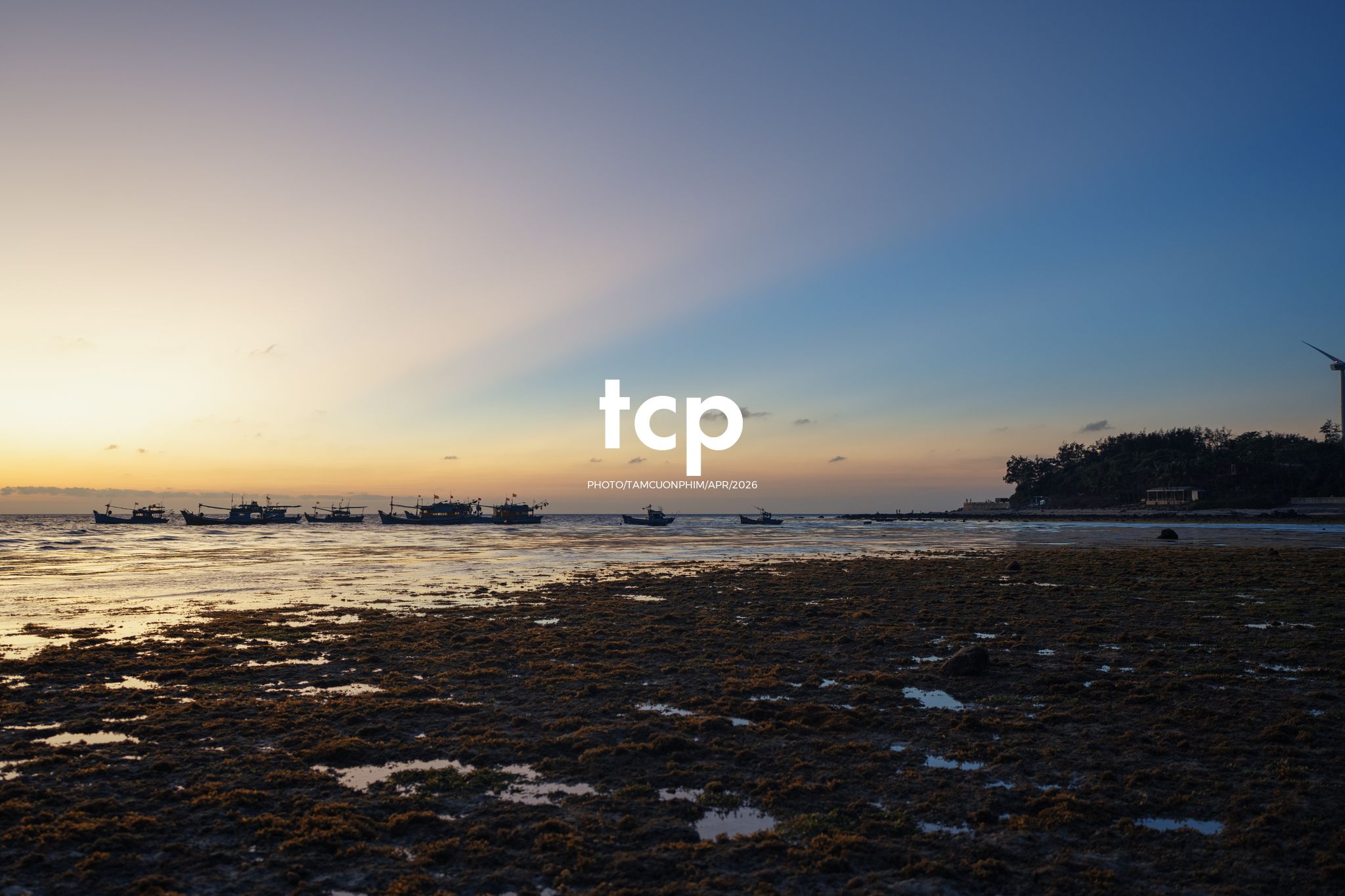 Tám Cuộn Phim - "Nhìn kìa, con này lạ quá!"