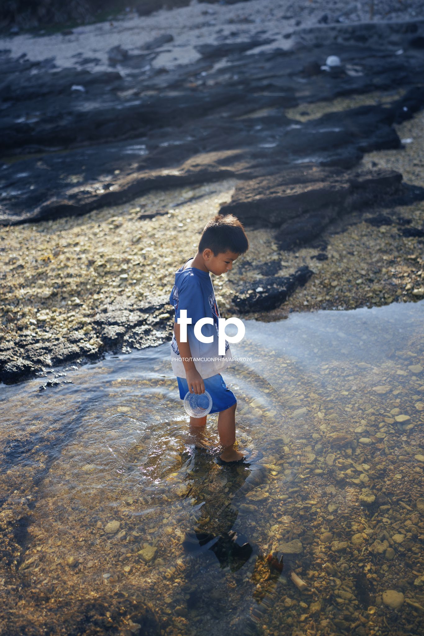 Tám Cuộn Phim - Nụ cười trong veo giữa sóng nước đại dương