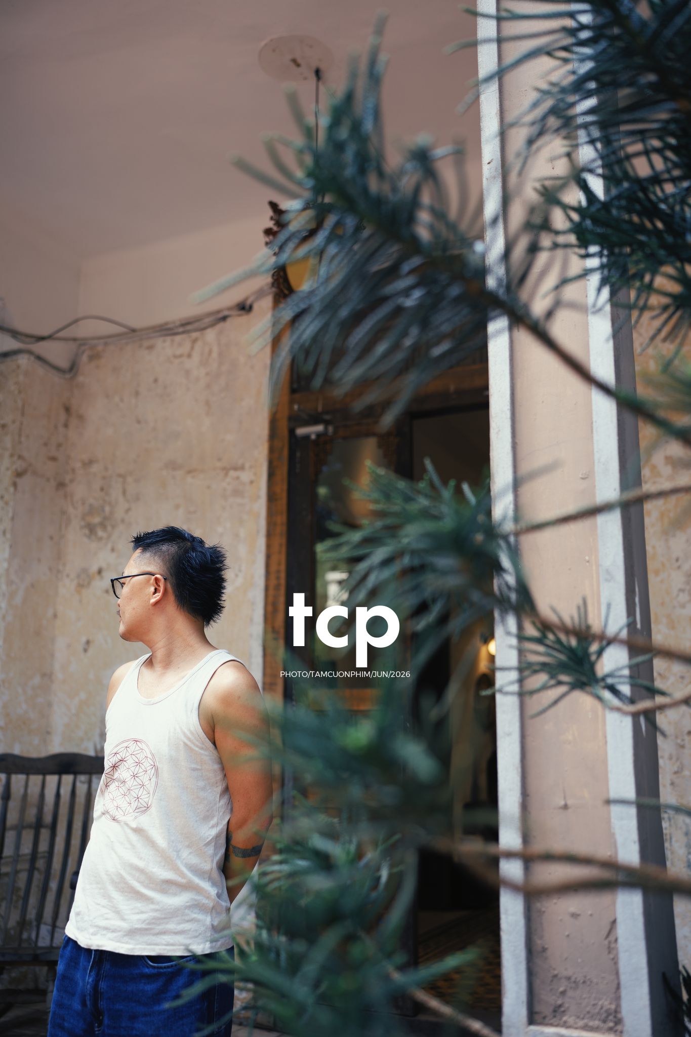 Tám Cuộn Phim - Mảng tường vữa tróc hắt nắng