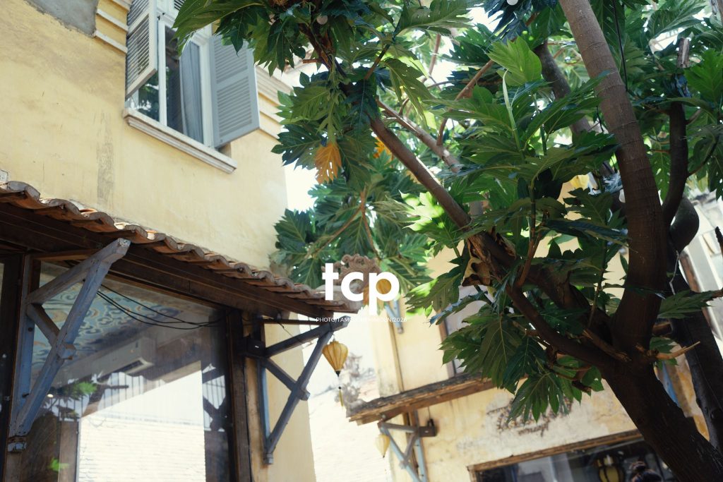 Tám Cuộn Phim - Mảng tường vữa tróc hắt nắng
