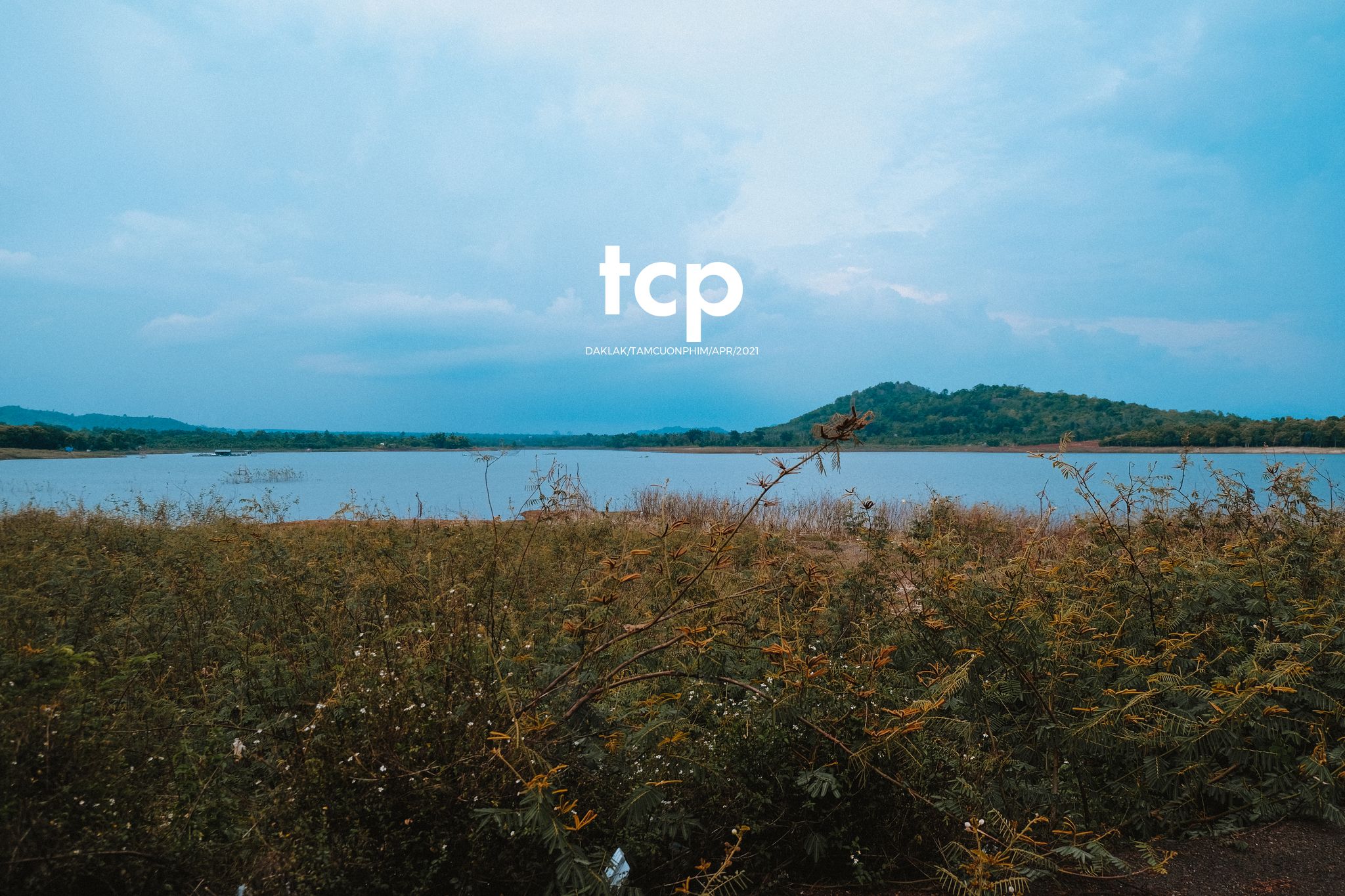Tám Cuộn Phim - Màn hình điện thoại