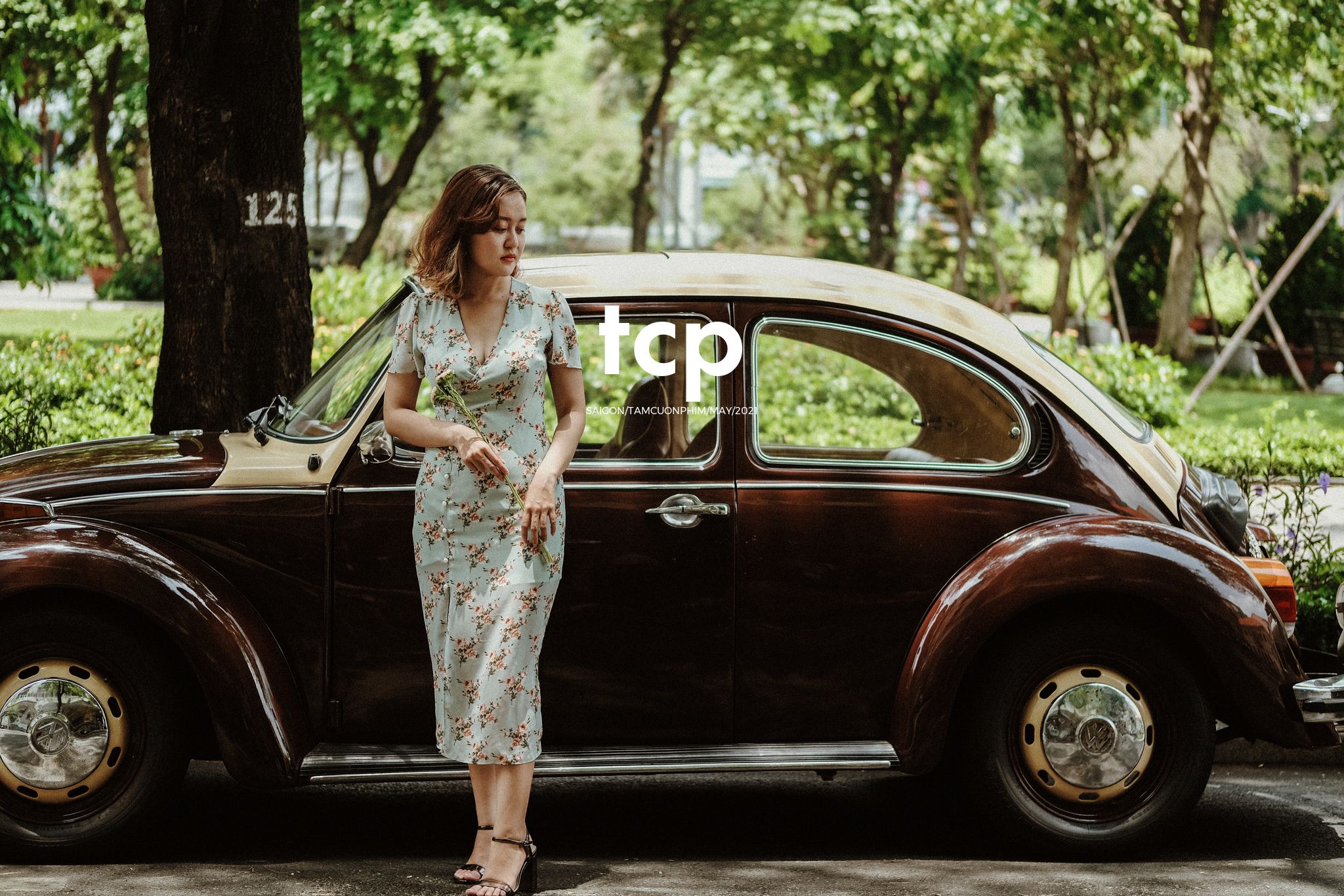 Tám Cuộn Phim - Bạn tựa má lên mặt bàn