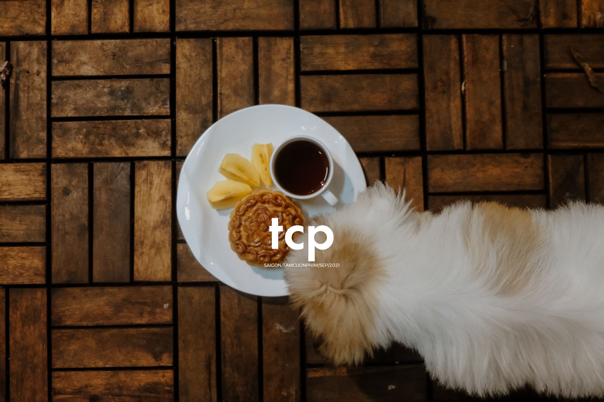 Tám Cuộn Phim - Chỏm lông nâu