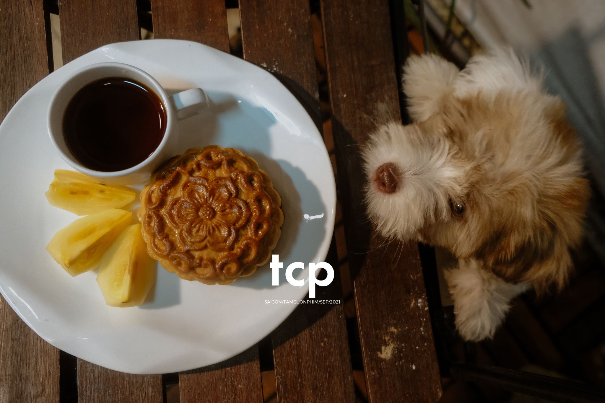 Tám Cuộn Phim - Chỏm lông nâu