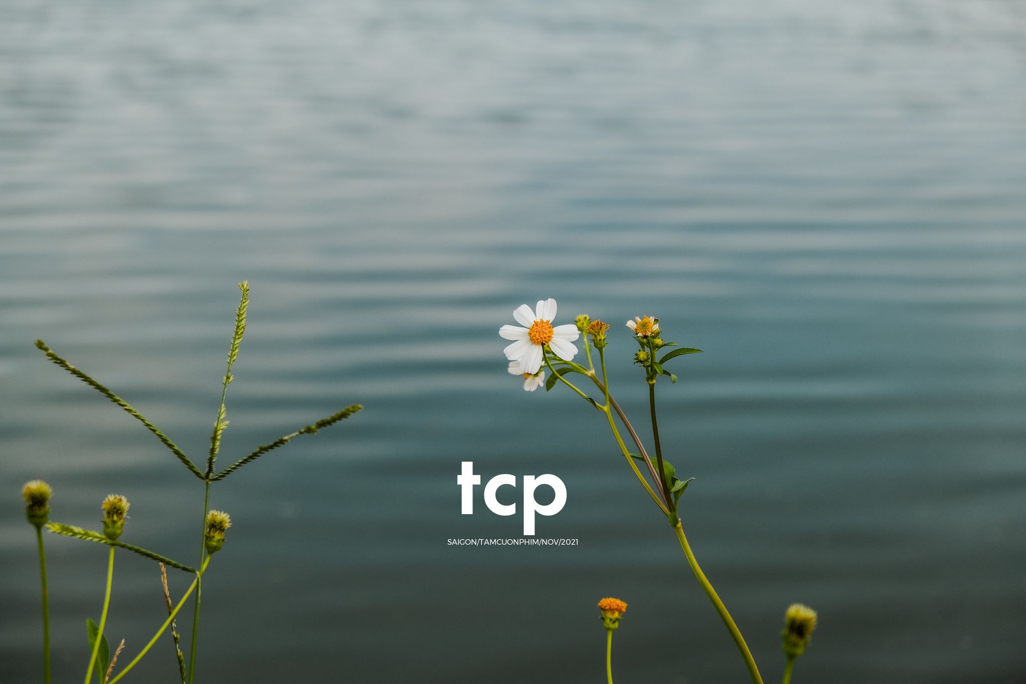 Tám Cuộn Phim - Bốn chân ghế ngập nước