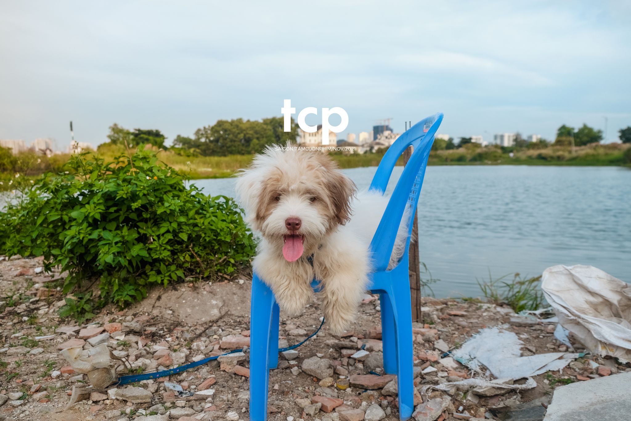 Tám Cuộn Phim - Bốn chân ghế ngập nước