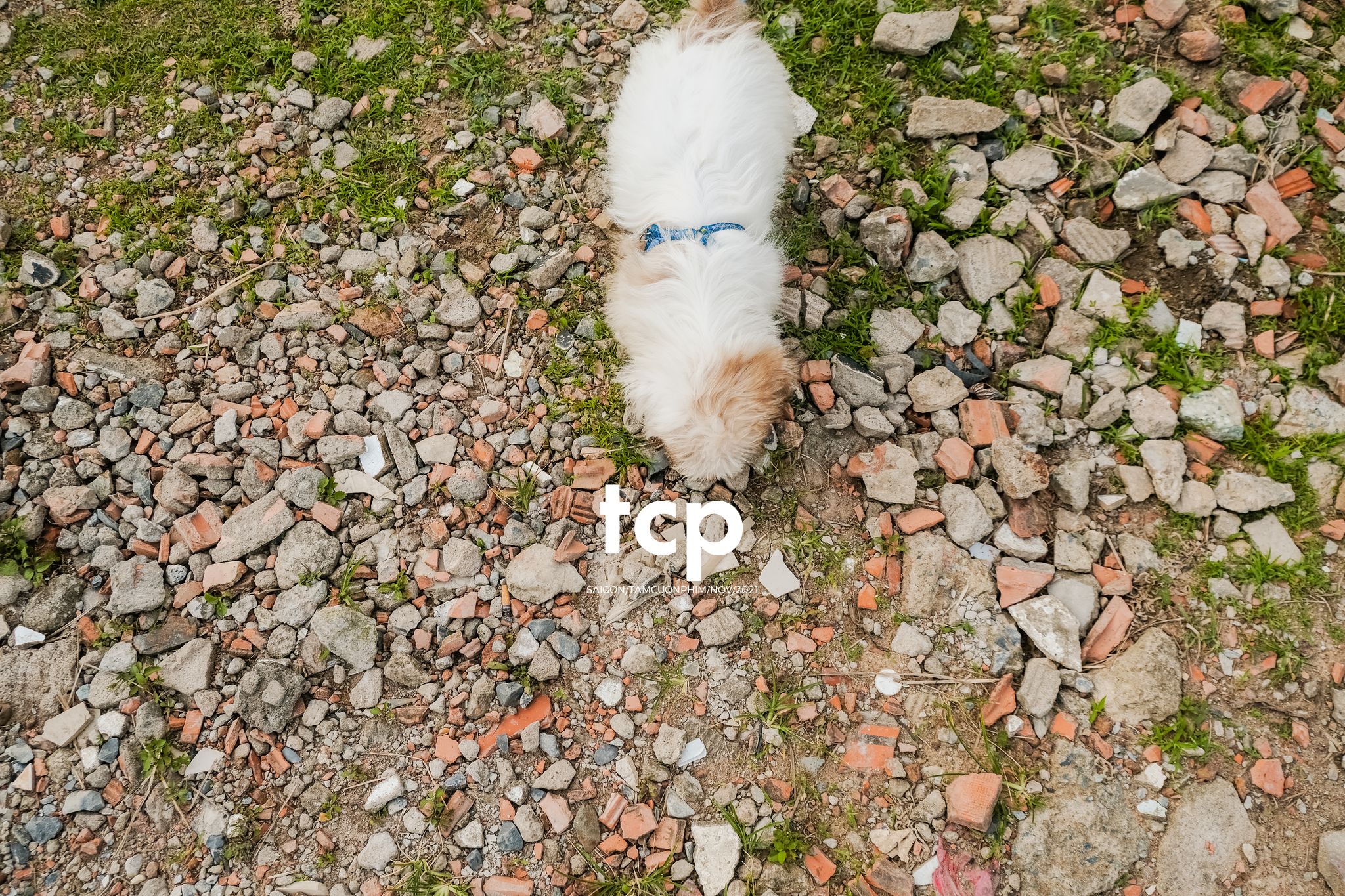 Tám Cuộn Phim - Bốn chân ghế ngập nước
