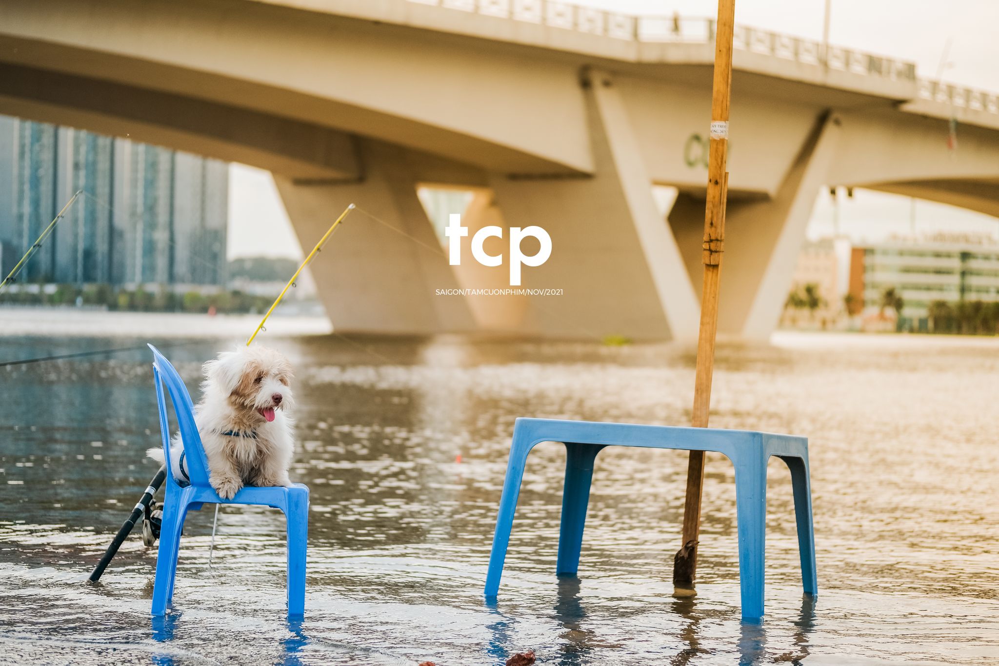 Tám Cuộn Phim - Bốn chân ghế ngập nước