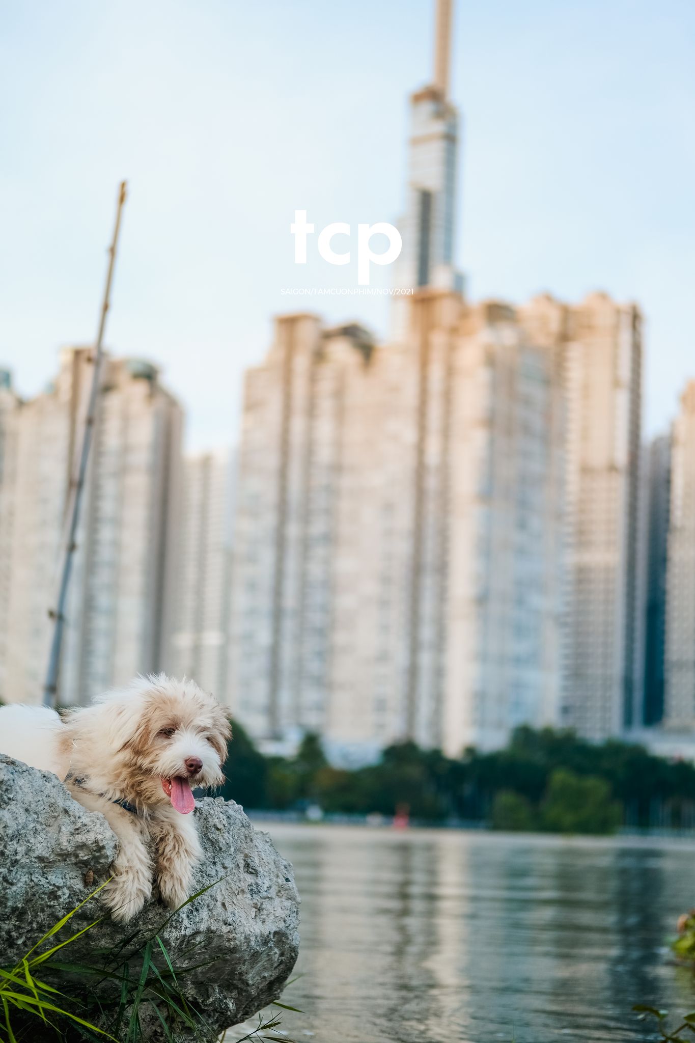 Tám Cuộn Phim - Bốn chân ghế ngập nước