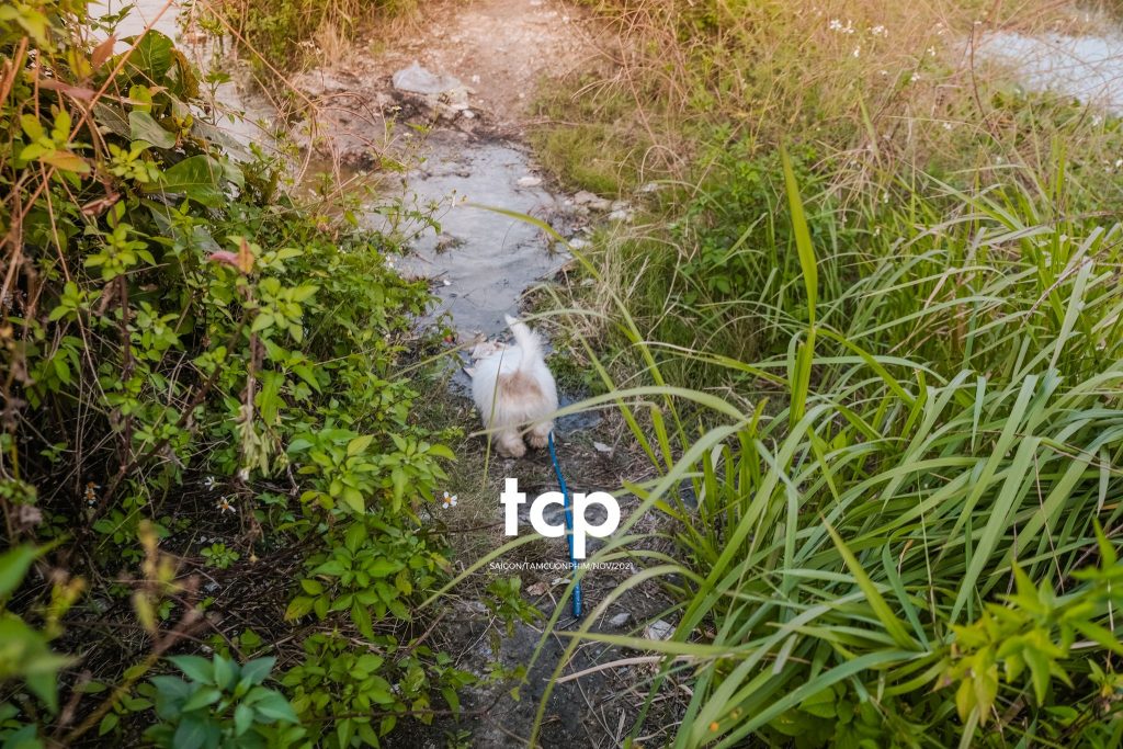 Tám Cuộn Phim - Bốn chân ghế ngập nước