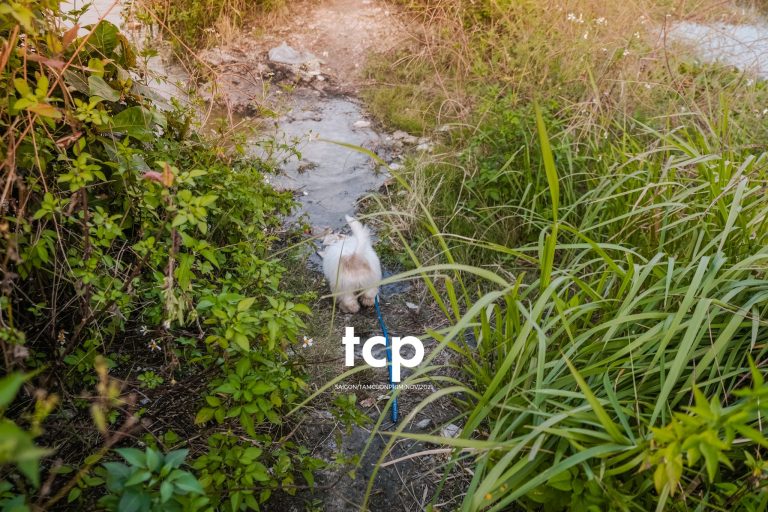 Tám Cuộn Phim - Bốn chân ghế ngập nước