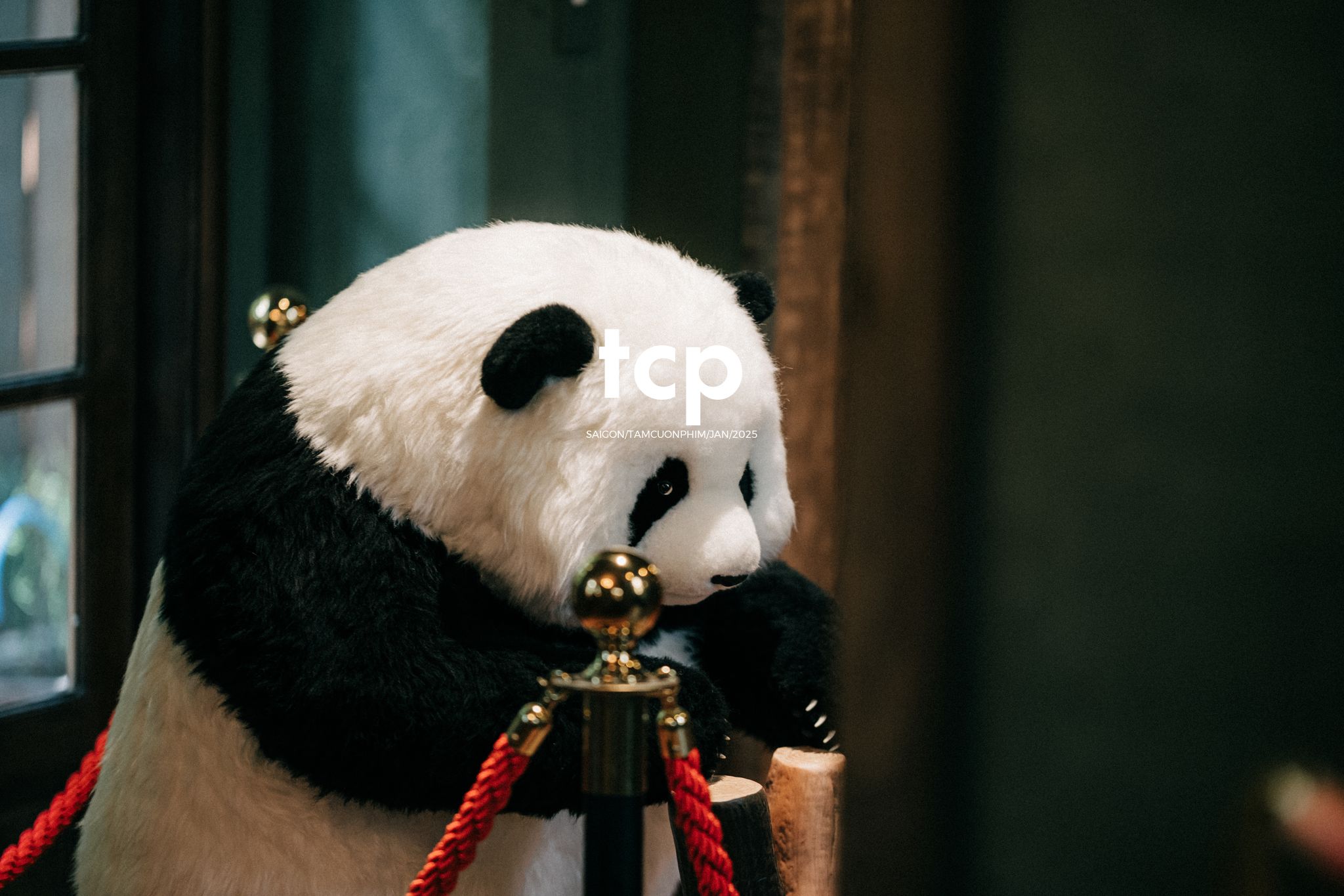 Tám Cuộn Phim - Chiếc ống hút giữ bạn ngồi yên