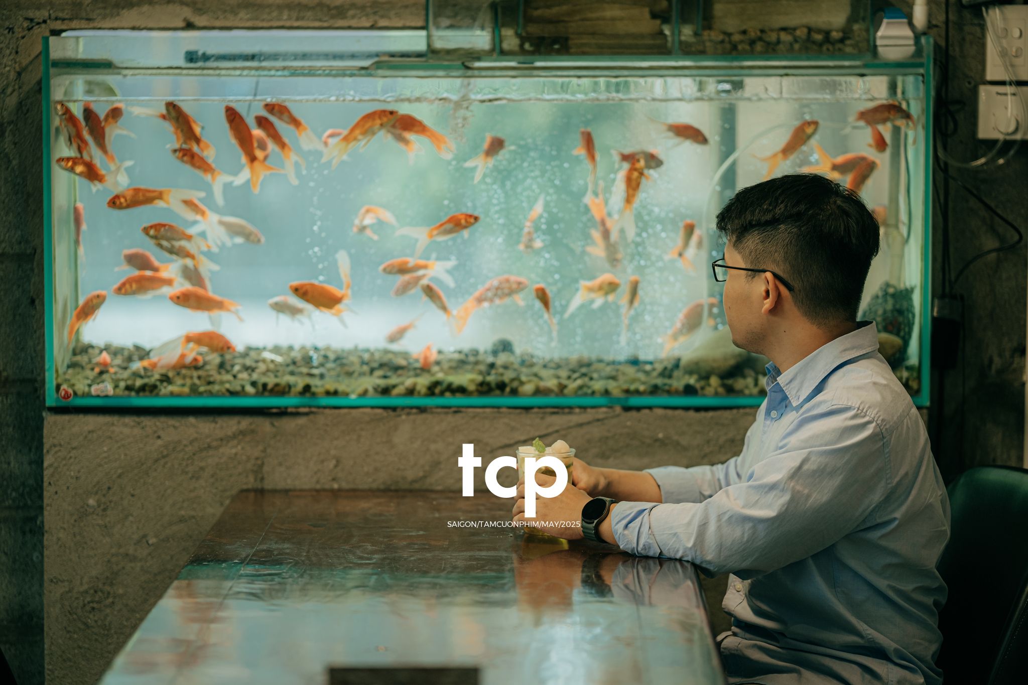 Tám Cuộn Phim - Bể cá