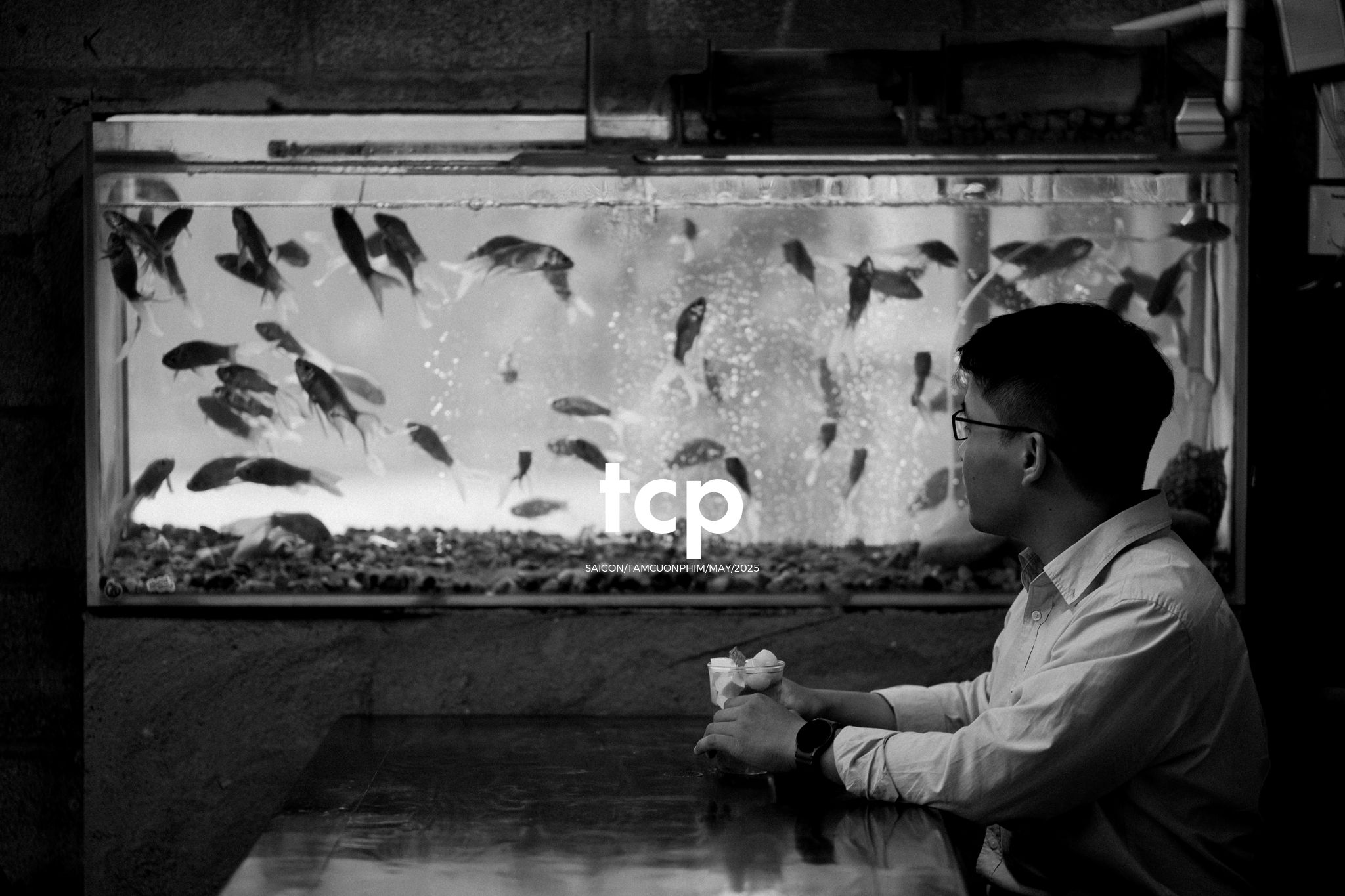 Tám Cuộn Phim - Bể cá