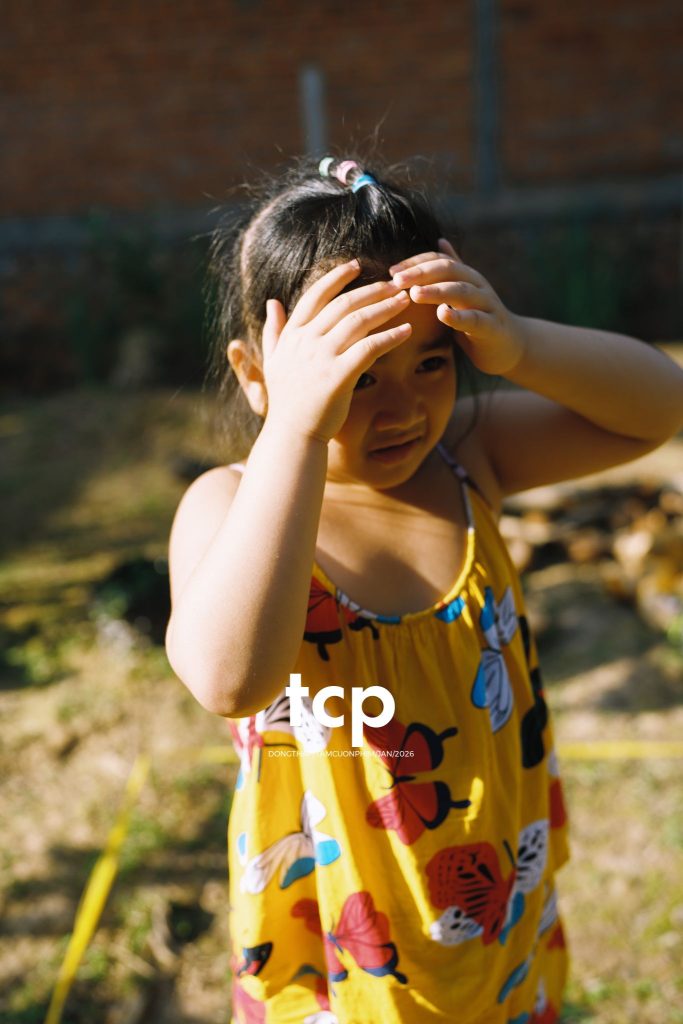 Tám Cuộn Phim - Đống vỏ dừa