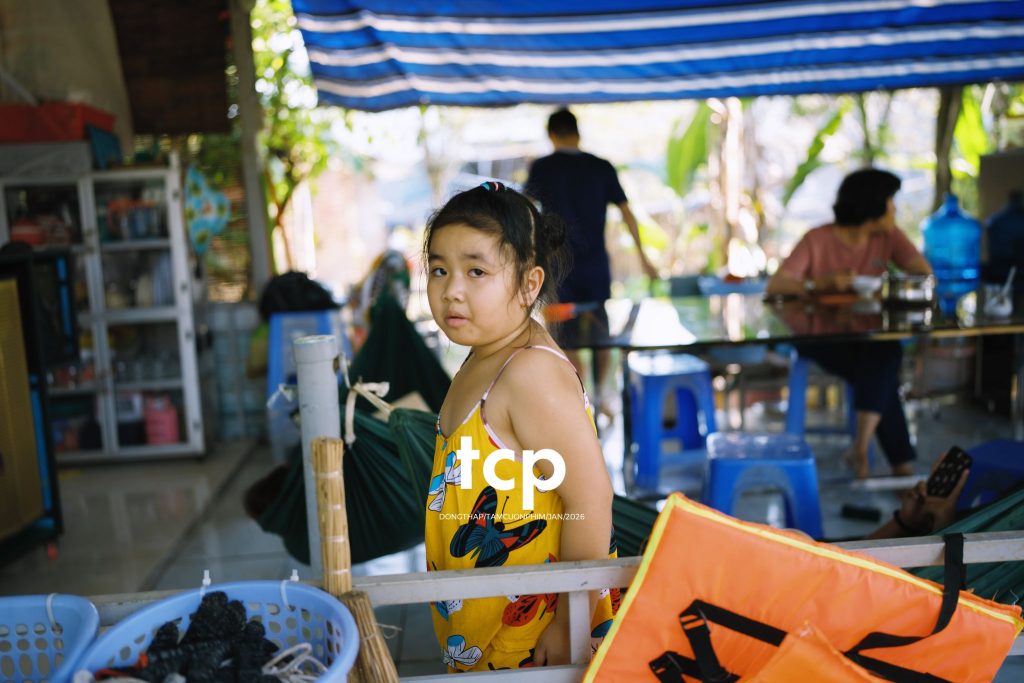 Tám Cuộn Phim - Đống vỏ dừa