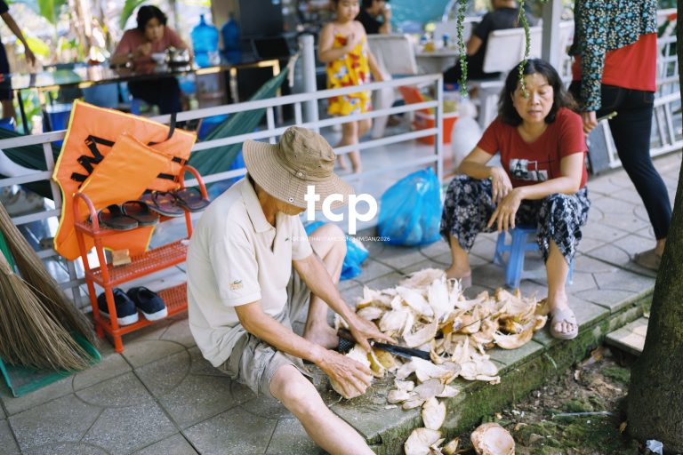 Tám Cuộn Phim - Đống vỏ dừa
